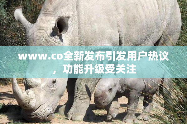 www.co全新发布引发用户热议，功能升级受关注