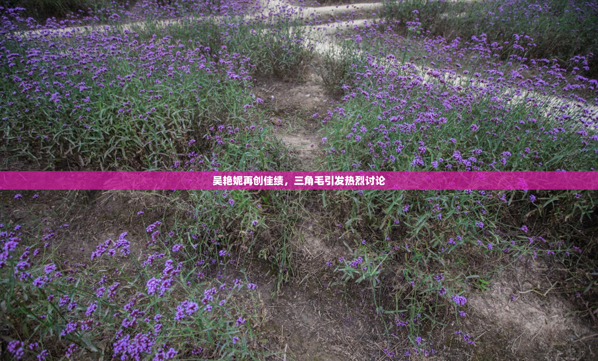 吴艳妮再创佳绩，三角毛引发热烈讨论