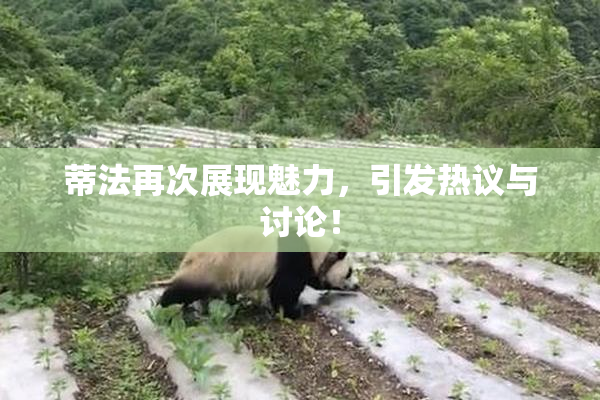 蒂法再次展现魅力，引发热议与讨论！