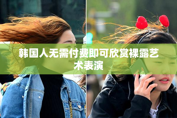 韩国人无需付费即可欣赏裸露艺术表演