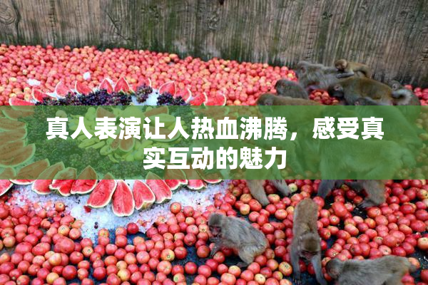 真人表演让人热血沸腾，感受真实互动的魅力