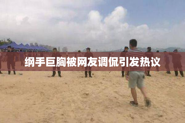纲手巨胸被网友调侃引发热议