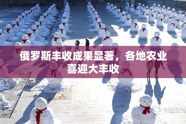 俄罗斯丰收成果显著，各地农业喜迎大丰收