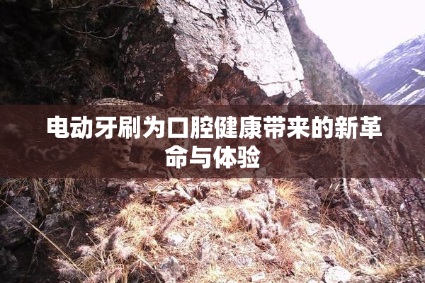 电动牙刷为口腔健康带来的新革命与体验