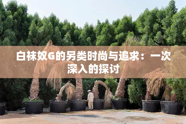 白袜奴G的另类时尚与追求：一次深入的探讨
