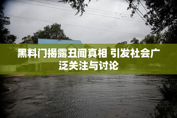 黑料门揭露丑闻真相 引发社会广泛关注与讨论