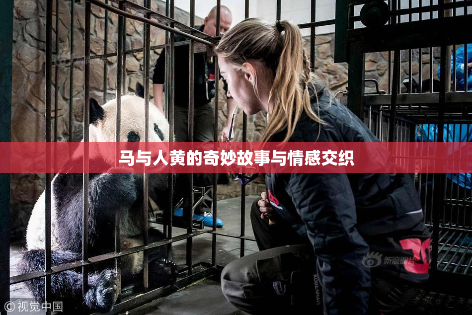 马与人黄的奇妙故事与情感交织