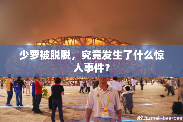 少萝被脱脱，究竟发生了什么惊人事件？