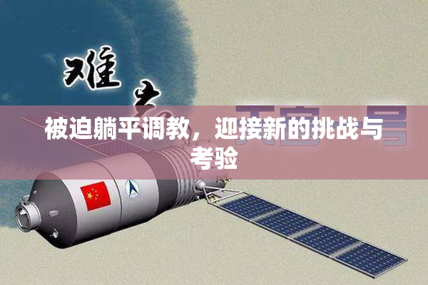 被迫躺平调教，迎接新的挑战与考验