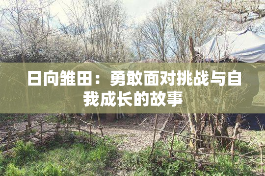 日向雏田：勇敢面对挑战与自我成长的故事