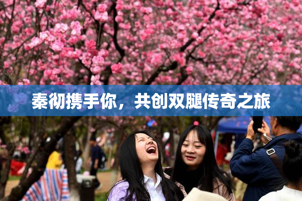 秦彻携手你，共创双腿传奇之旅