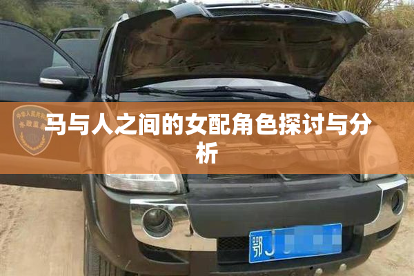马与人之间的女配角色探讨与分析