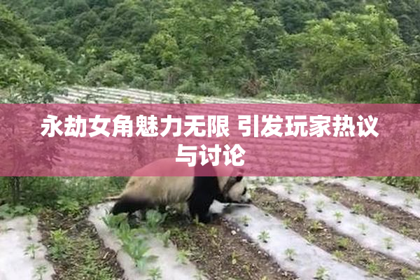 永劫女角魅力无限 引发玩家热议与讨论