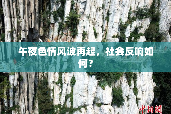 午夜色情风波再起，社会反响如何？