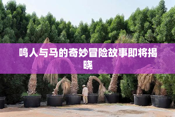 鸣人与马的奇妙冒险故事即将揭晓