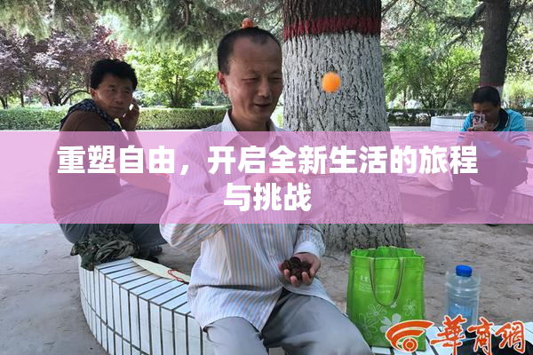 重塑自由，开启全新生活的旅程与挑战
