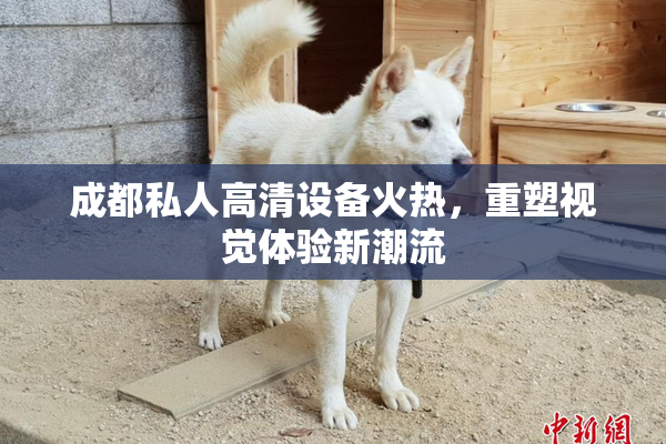 成都私人高清设备火热，重塑视觉体验新潮流