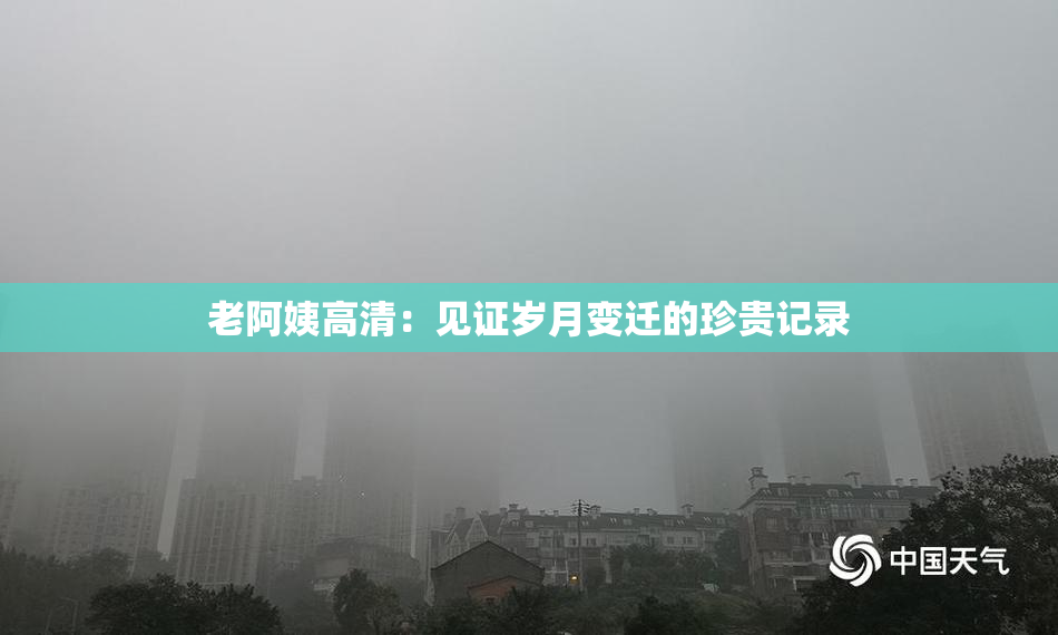老阿姨高清：见证岁月变迁的珍贵记录