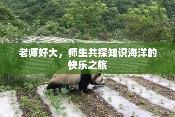 老师好大，师生共探知识海洋的快乐之旅