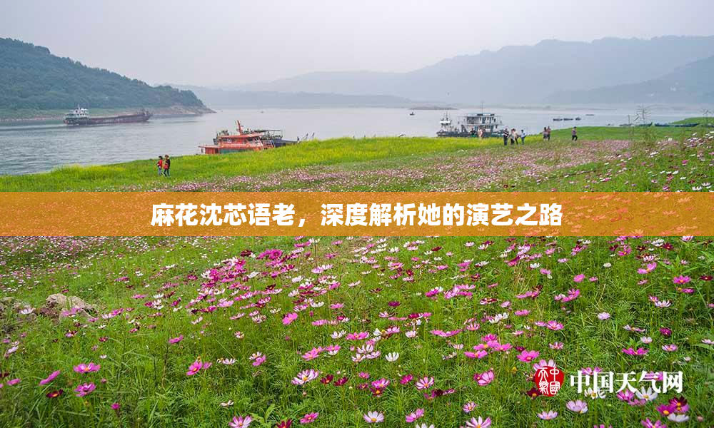 麻花沈芯语老，深度解析她的演艺之路