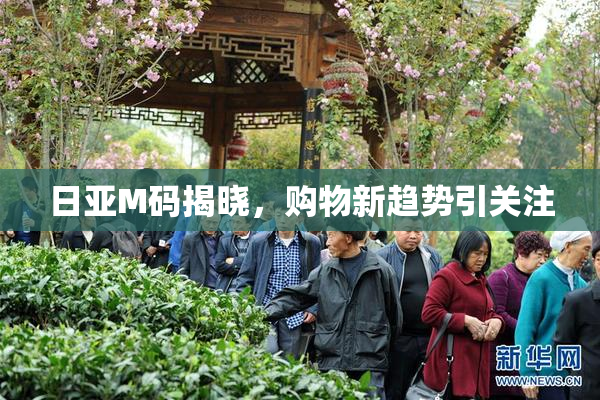 日亚M码揭晓，购物新趋势引关注