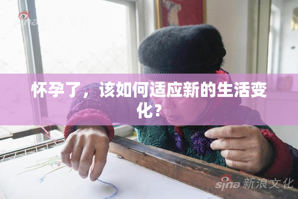 怀孕了，该如何适应新的生活变化？