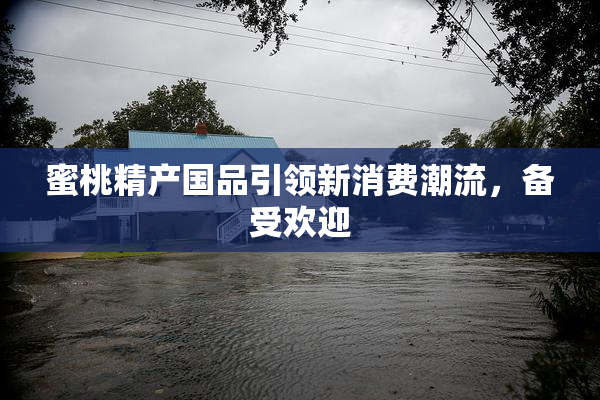 蜜桃精产国品引领新消费潮流，备受欢迎