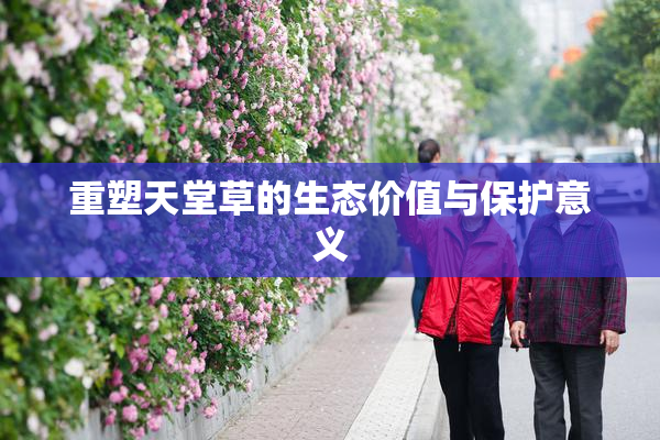 重塑天堂草的生态价值与保护意义