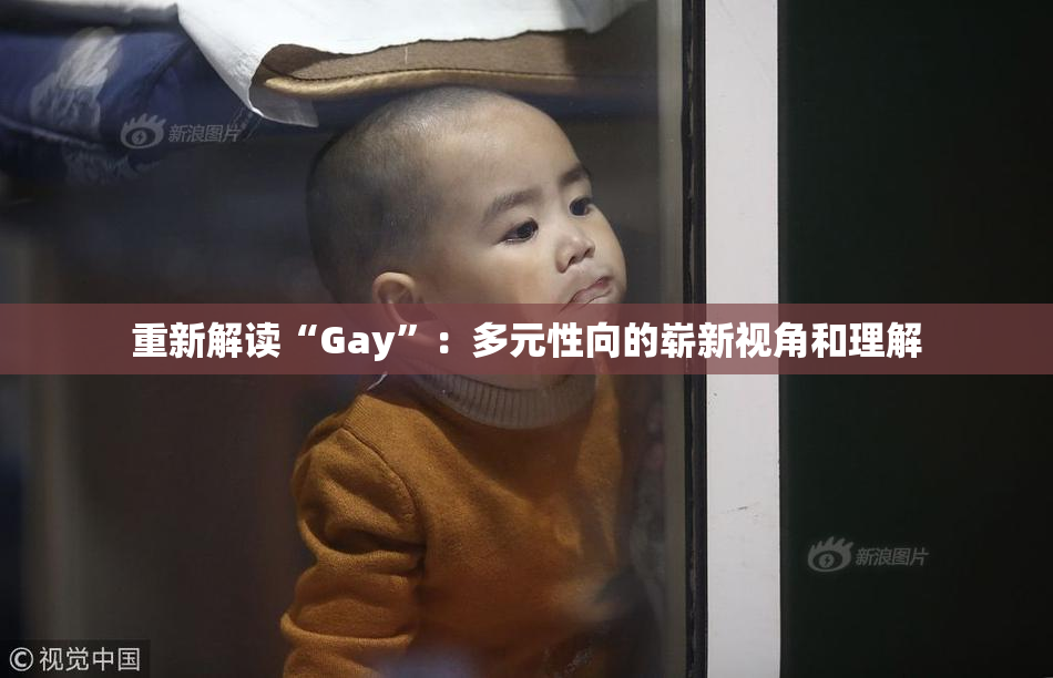 重新解读“Gay”：多元性向的崭新视角和理解