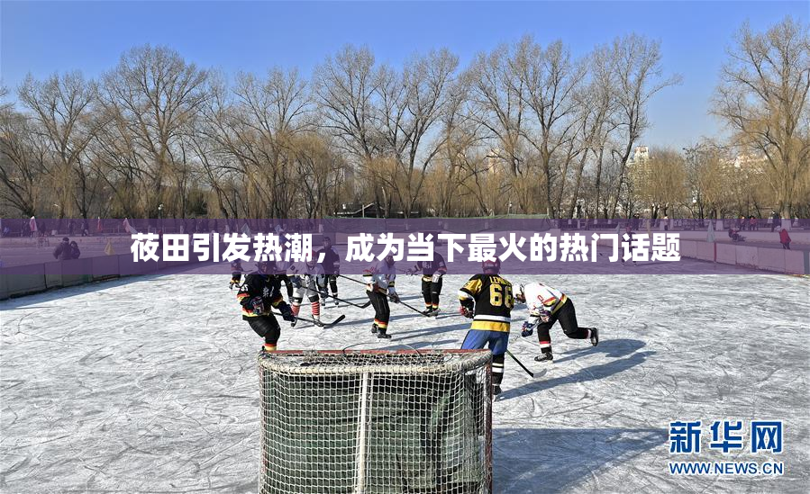 莜田引发热潮，成为当下最火的热门话题