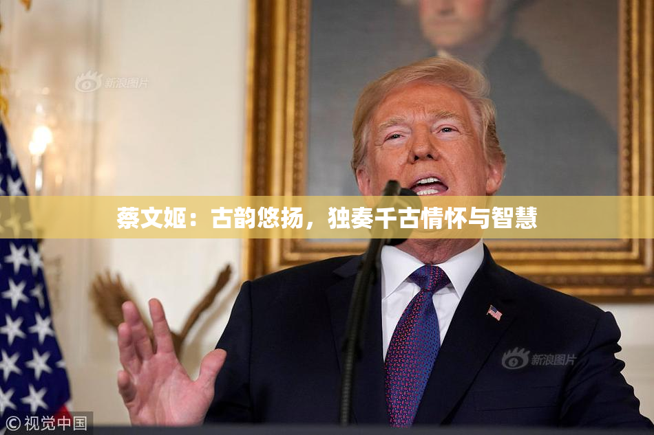 蔡文姬：古韵悠扬，独奏千古情怀与智慧