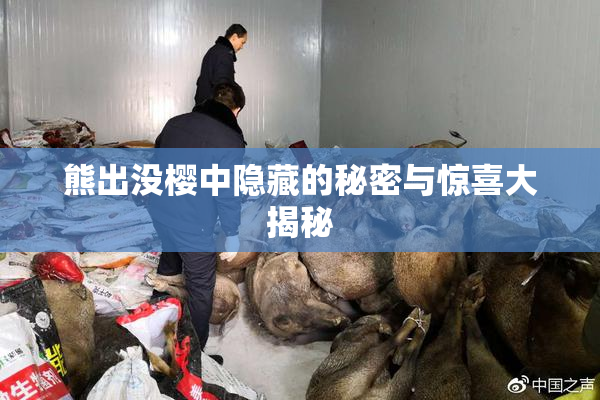 熊出没樱中隐藏的秘密与惊喜大揭秘