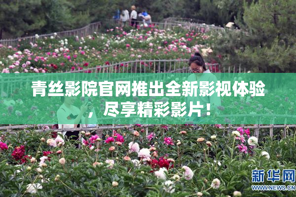 青丝影院官网推出全新影视体验，尽享精彩影片！