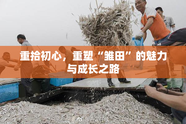 重拾初心，重塑“雏田”的魅力与成长之路