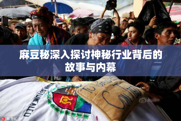 麻豆秘深入探讨神秘行业背后的故事与内幕