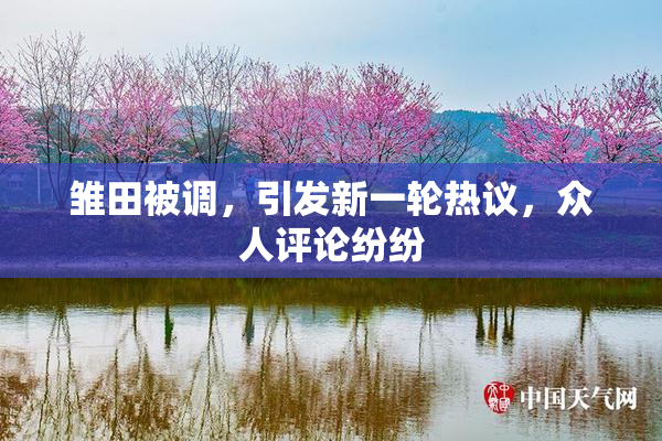 雏田被调，引发新一轮热议，众人评论纷纷