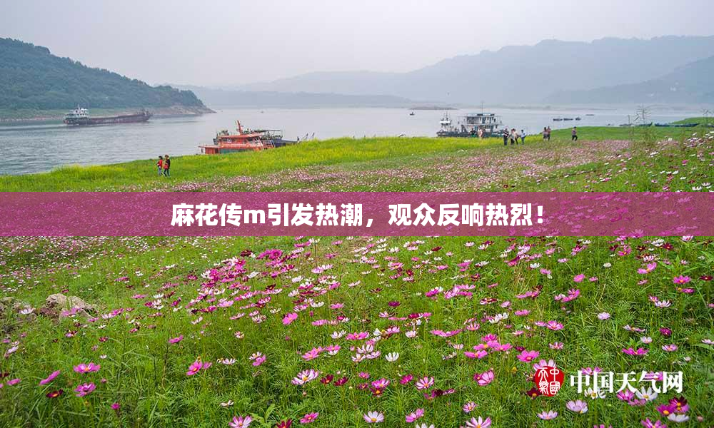 麻花传m引发热潮，观众反响热烈！