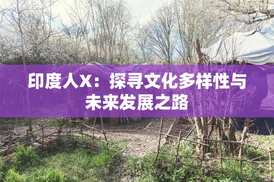 印度人X：探寻文化多样性与未来发展之路