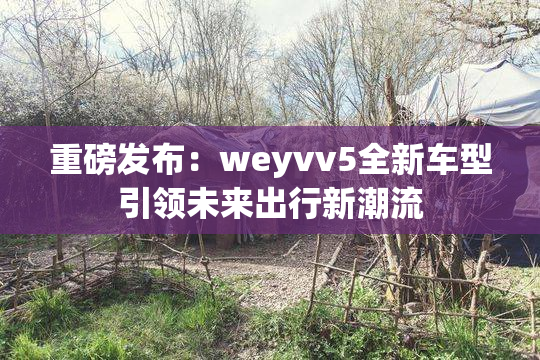 重磅发布：weyvv5全新车型引领未来出行新潮流