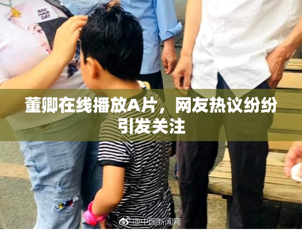 董卿在线播放A片，网友热议纷纷引发关注