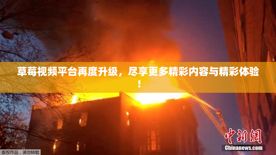 草莓视频平台再度升级，尽享更多精彩内容与精彩体验！