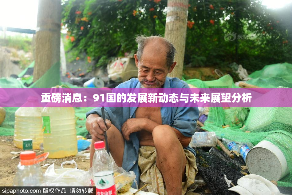 重磅消息：91国的发展新动态与未来展望分析