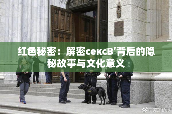 红色秘密：解密сексB′背后的隐秘故事与文化意义
