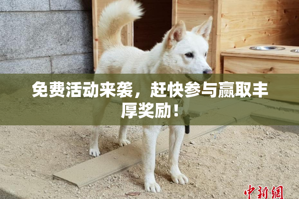 免费活动来袭，赶快参与赢取丰厚奖励！