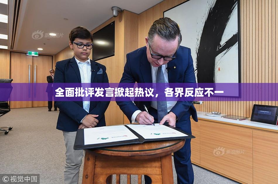 全面批评发言掀起热议，各界反应不一