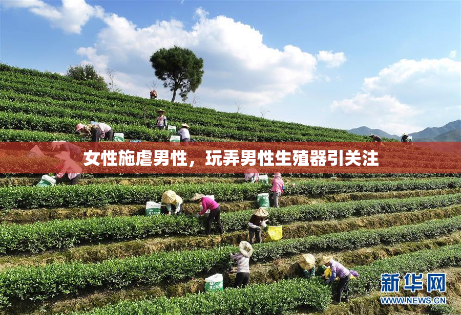 女性施虐男性，玩弄男性生殖器引关注