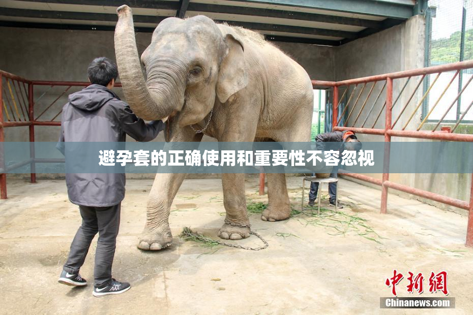 避孕套的正确使用和重要性不容忽视
