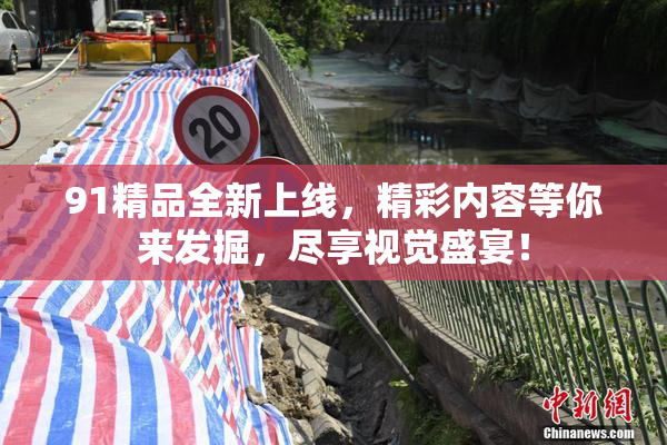 91精品全新上线，精彩内容等你来发掘，尽享视觉盛宴！
