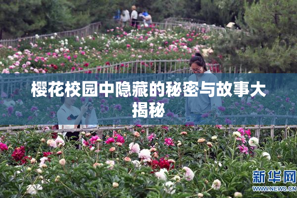 樱花校园中隐藏的秘密与故事大揭秘