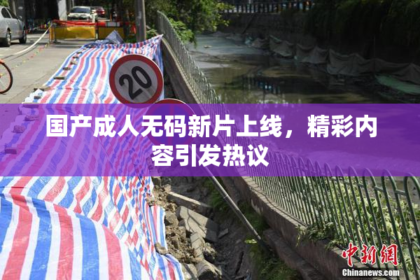 国产成人无码新片上线，精彩内容引发热议